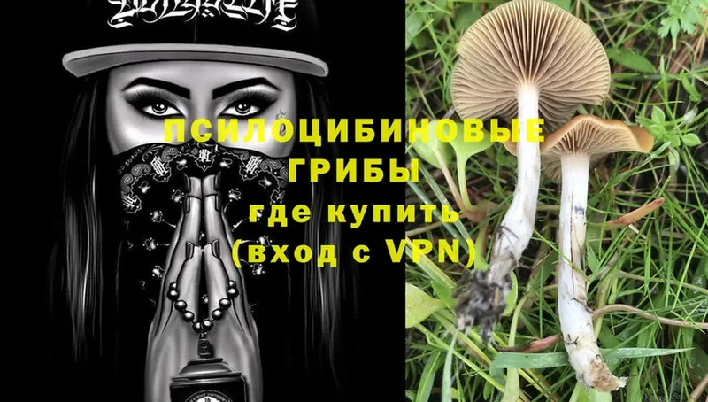 Галлюциногенные грибы Magic Shrooms  Кувандык 